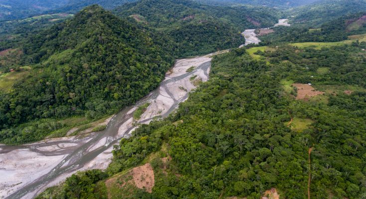  Corea apoyará la restauración ecológica de paisajes naturales de la región San Martín