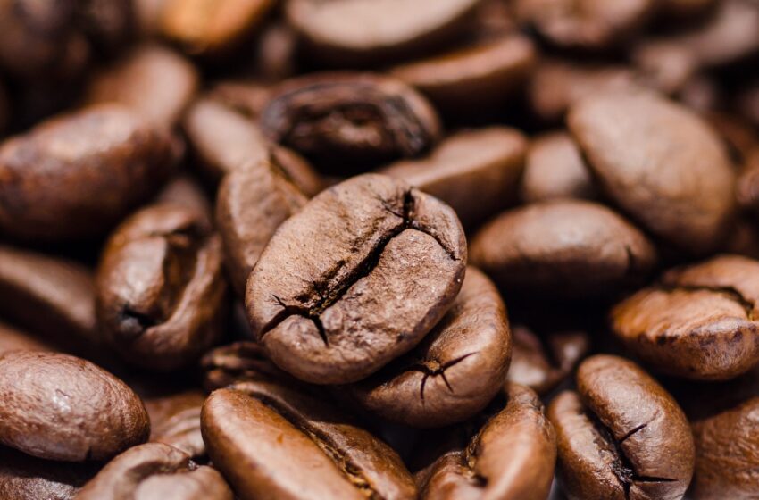  26% se redujo las exportaciones de Café