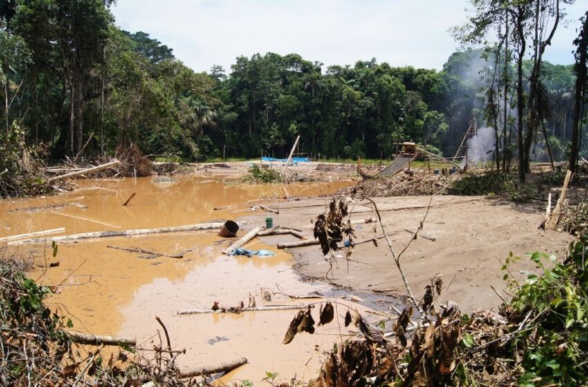  TerrAmaz: una alianza sin precedentes que concilia la lucha contra la deforestación y el desarrollo en la Amazonía