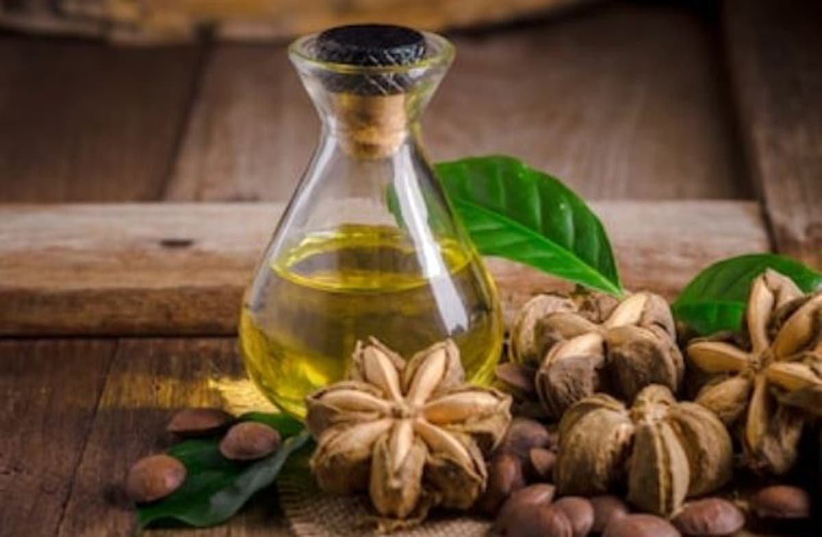 Sacha Inchi alto valor nutricional