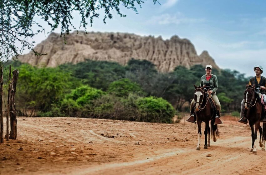 El santuario alberga el bosque de algarrobos más extenso del planeta y 36 pirámides pertenecientes a la Cultura Sicán