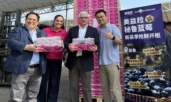 Primer despacho de arándanos vía puerto de Chancay llega a China